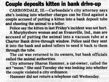 Couple deposits kitten in bank drive-up